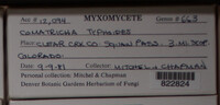 Image Associated With the Occurence